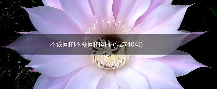 不该问的不要问的句子(优选40句),第1张