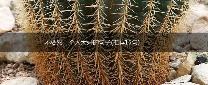 不要对一个人太好的句子(推荐15句),第1张