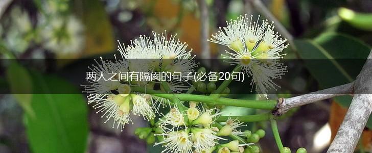 两人之间有隔阂的句子(必备20句),第1张