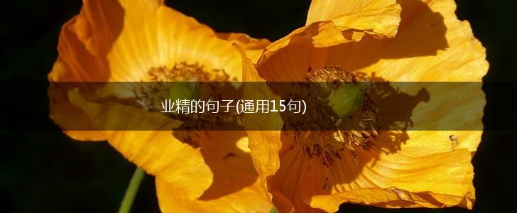 业精的句子(通用15句),第1张