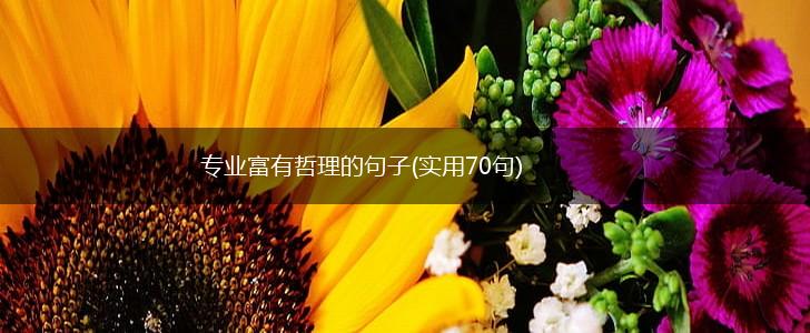 专业富有哲理的句子(实用70句),第1张