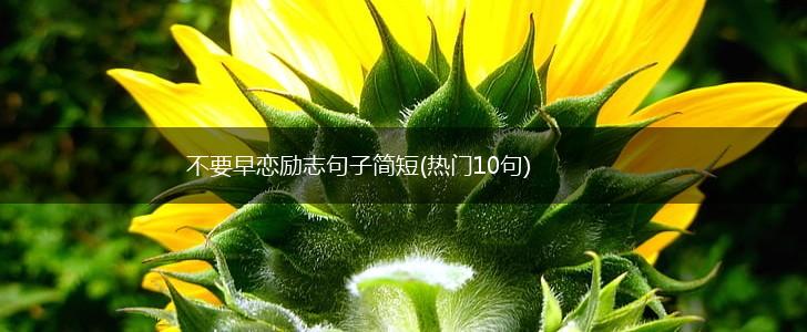 不要早恋励志句子简短(热门10句),第1张
