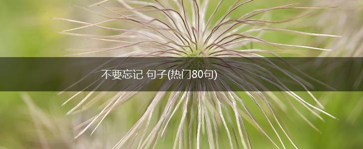 不要忘记 句子(热门80句),第1张