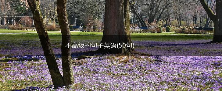 不高级的句子英语(50句),第1张
