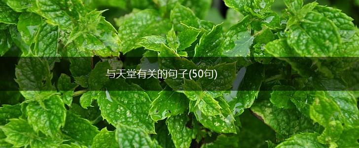 与天堂有关的句子(50句),第1张