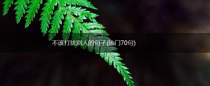 不该打扰别人的句子(热门70句),第1张