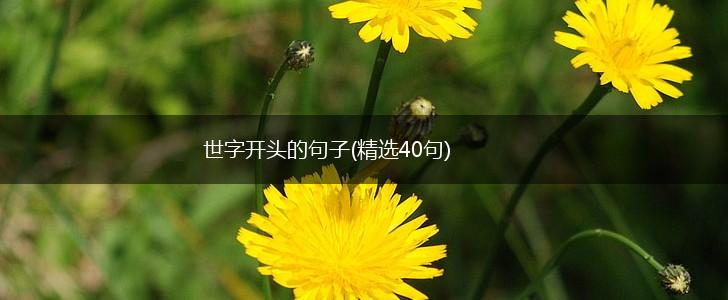 世字开头的句子(精选40句),第1张