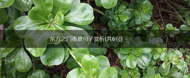 东方之门夜景句子赏析(共6句),第1张