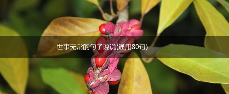 世事无常的句子说说(通用80句),第1张