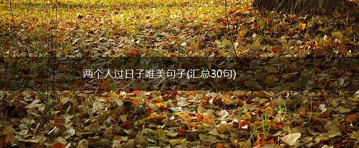 两个人过日子唯美句子(汇总30句),第1张