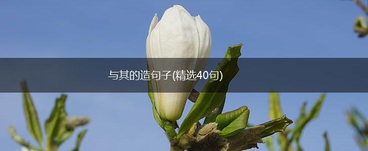与其的造句子(精选40句),第1张