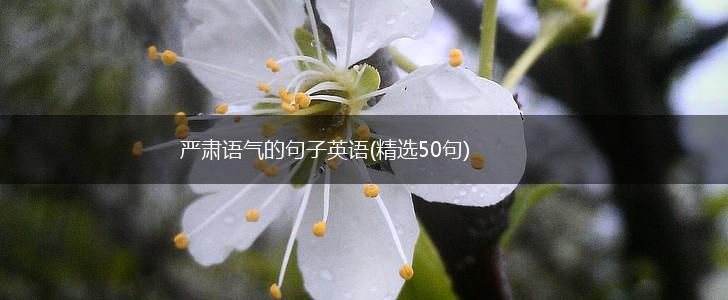 严肃语气的句子英语(精选50句),第1张