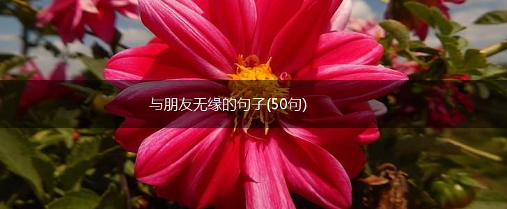 与朋友无缘的句子(50句),第1张