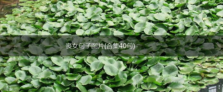 丧女句子图片(合集40句),第1张