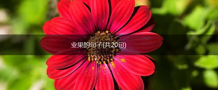 业果的句子(共20句),第1张