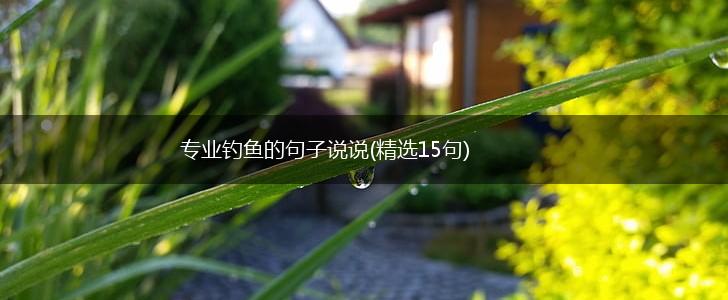 专业钓鱼的句子说说(精选15句),第1张