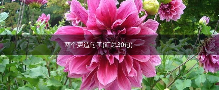 两个更造句子(汇总30句),第1张