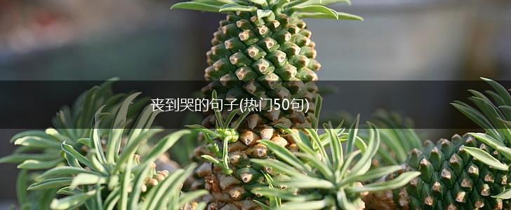丧到哭的句子(热门50句),第1张