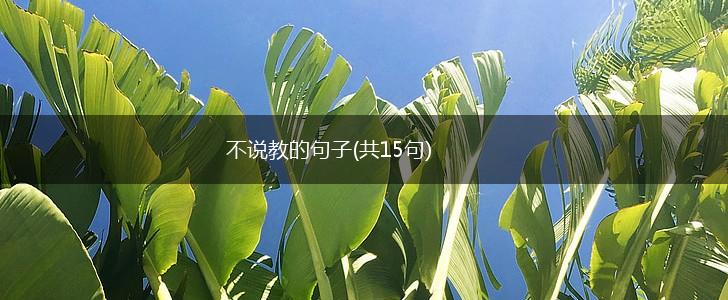 不说教的句子(共15句),第1张
