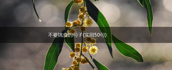 不要挑食的句子(实用50句),第1张