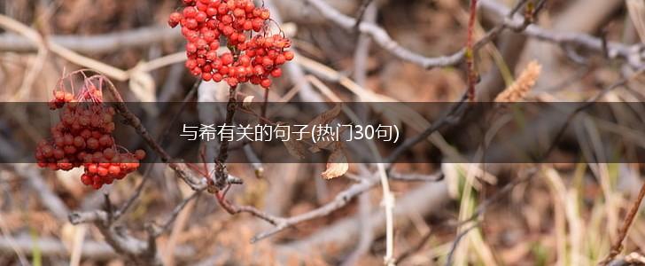 与希有关的句子(热门30句),第1张