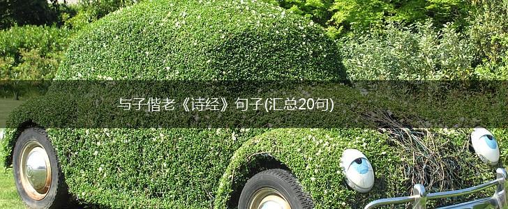 与子偕老《诗经》句子(汇总20句),第1张