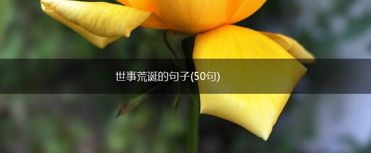 世事荒诞的句子(50句),第1张
