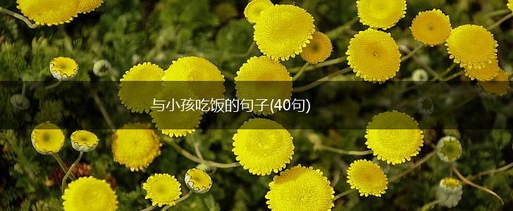 与小孩吃饭的句子(40句),第1张