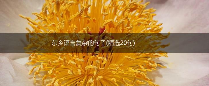 东乡语言复杂的句子(精选20句),第1张