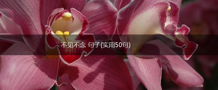 不见不念 句子(实用50句),第1张