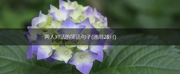 两人对话的笑话句子(通用28句),第1张