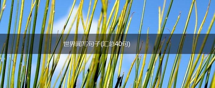 世界闻写句子(汇总40句),第1张