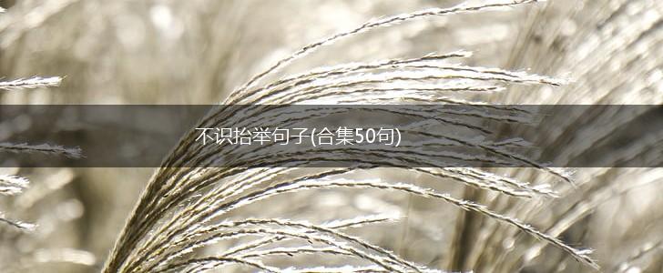 不识抬举句子(合集50句),第1张