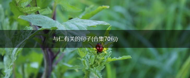 与仁有关的句子(合集70句),第1张