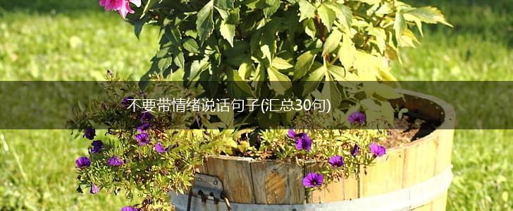 不要带情绪说话句子(汇总30句),第1张