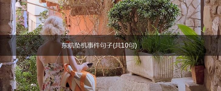 东航坠机事件句子(共10句),第1张