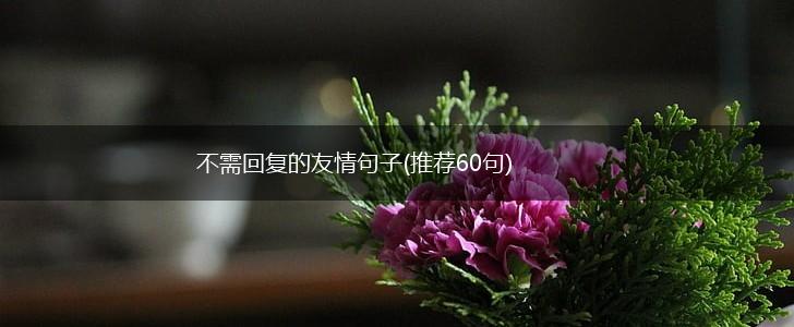 不需回复的友情句子(推荐60句),第1张