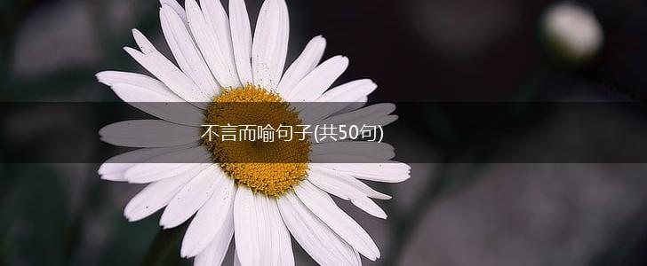 不言而喻句子(共50句),第1张