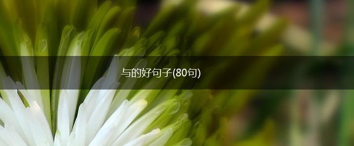 与的好句子(80句),第1张