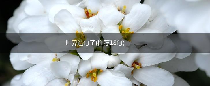 世界造句子(推荐18句),第1张