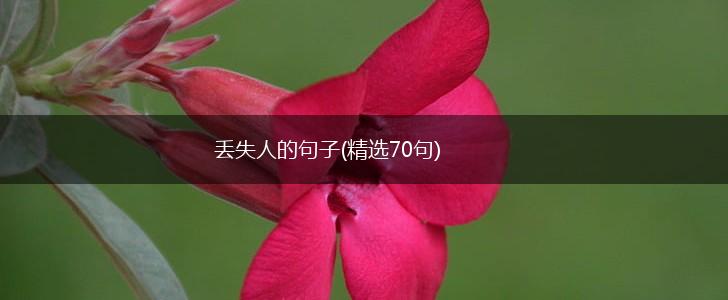 丢失人的句子(精选70句),第1张