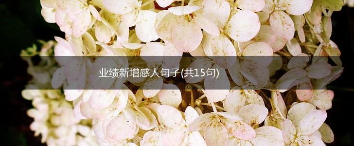 业绩新增感人句子(共15句),第1张