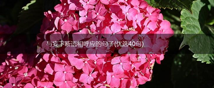 与妄下断语相呼应的句子(优选40句),第1张