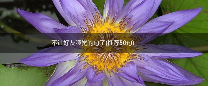 不让好友睡觉的句子(推荐50句),第1张