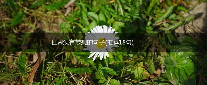 世界没有梦想的句子(推荐18句),第1张