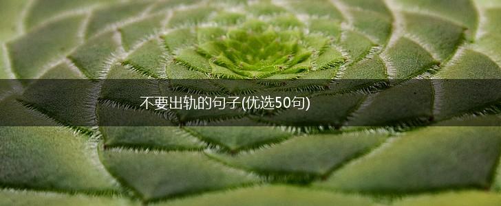 不要出轨的句子(优选50句),第1张