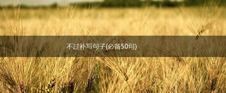 不过补写句子(必备50句),第1张
