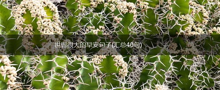 世界很大的早安句子(汇总40句),第1张