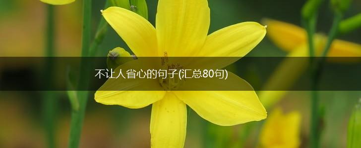 不让人省心的句子(汇总80句),第1张