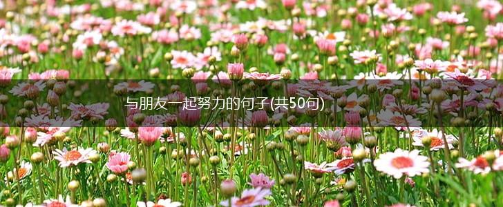 与朋友一起努力的句子(共50句),第1张